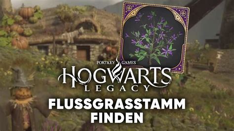 flussgras pflanzen hogwarts legacy|Hogwarts Legacy: Pflanztisch nutzen, magische。